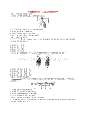 2017-2018學(xué)年七年級生物下冊專題整合訓(xùn)練2人的生活需要空氣（新版）濟(jì)南版.doc-匯文網(wǎng)