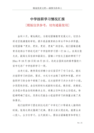 中學掛職學習情況匯報(共19頁).docx