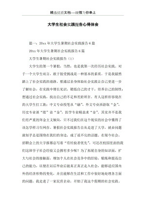 大學生社會實踐報告心得體會(共15頁).docx