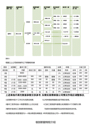 公司行政架構(gòu)及薪資等級結(jié)構(gòu)表.doc