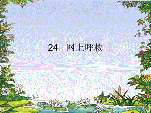 24網(wǎng)上呼救.ppt